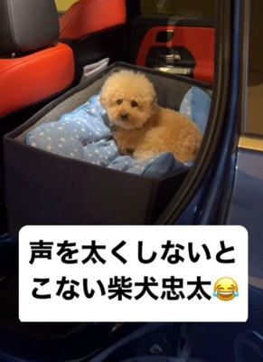 準備万端なるみちゃん