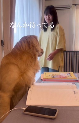 なんか待ってる