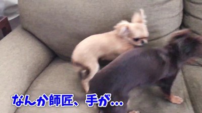怪我してる…！？