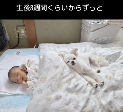 ずっと一緒にいます