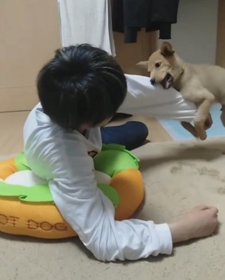 犬と遊ぶ少年