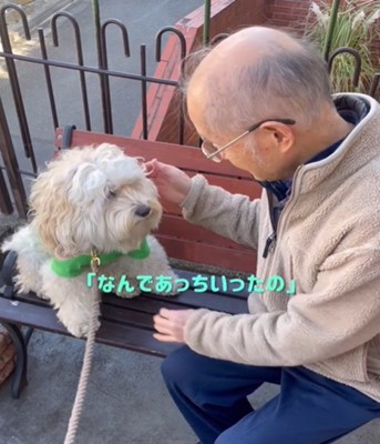 犬とおじいさん
