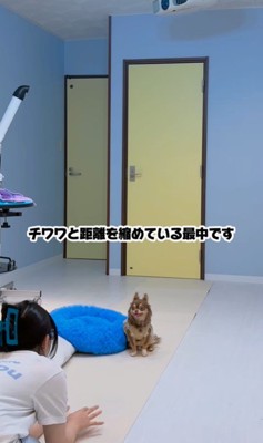 ショコラちゃんと仲良くなるまで