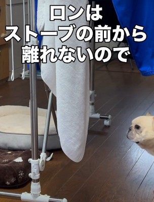 リードを付けたら…