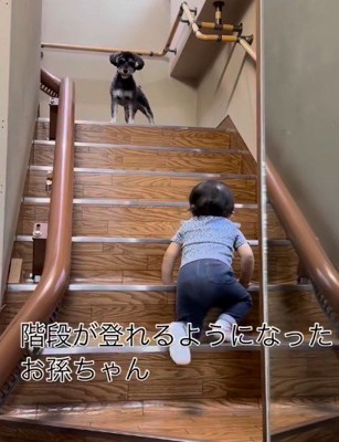 階段の上り下りをレクチャー