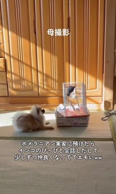 見つめあう2人