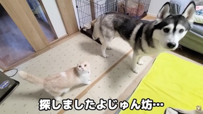 「一体どこにいたの…?」「内緒♪」