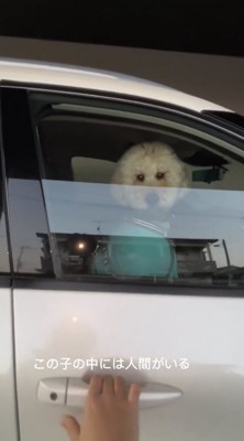 ドアを開けようとする人