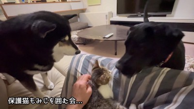 もみじちゃんを囲む大河くん＆銀河くん