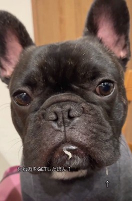 むね肉を食べたぼんくん