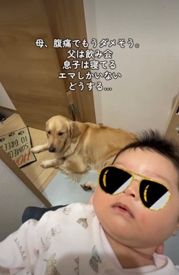 座る犬と赤ちゃん