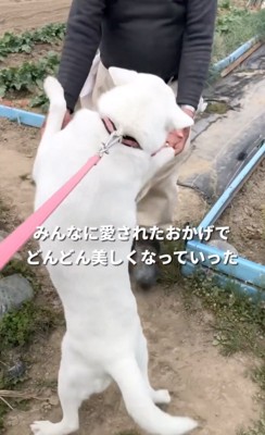 初めての人にもご挨拶