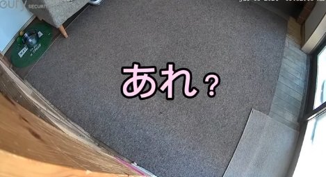 てんちゃんが行方不明！？