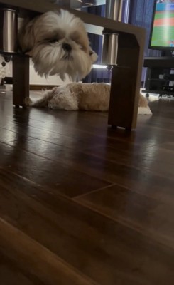 ビックリが止まらない