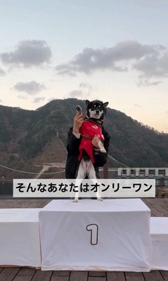 ナンバーワンではなく、オンリーワン!