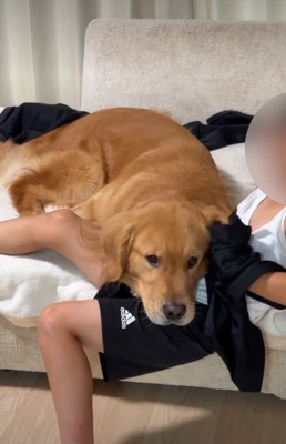 一緒にベッドの端に移動する犬
