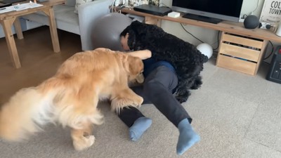 ついに押し倒されてしまいました（笑）
