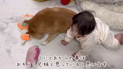 優しい兄姉が大好き