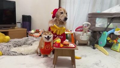 もう一度ハンバーガーショップへ♪