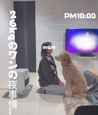 ママにベッタリ…