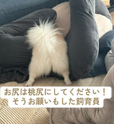 まんまる桃尻にしたい♡