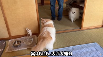 犬がいると知っておじいちゃんは不機嫌に！