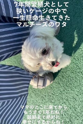 穏やかに幸せに暮らしている