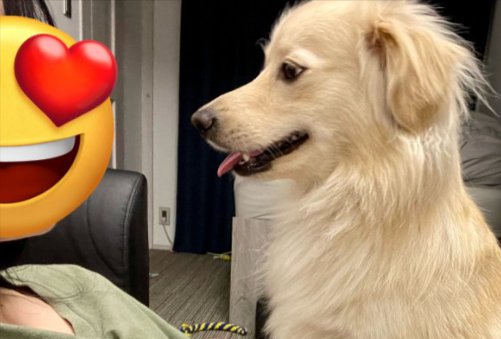 絶対に観せない