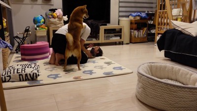 「やめて！！」