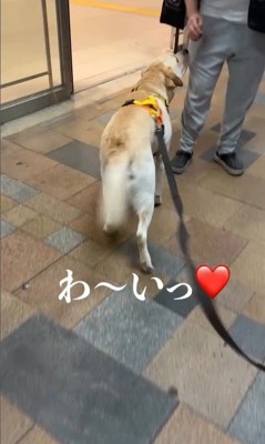 ママさんのお迎えに来たレオンくん6