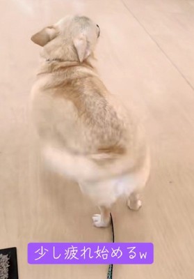 徐々に疲れが…