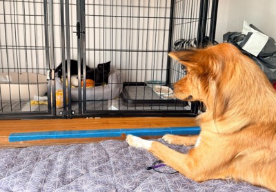 「ちゃんとそばにいるからね」