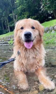 かーる君の成長記録7