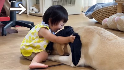 サンちゃんが見ています！