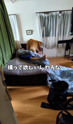 お兄ちゃんの部屋から出てこない蘭ちゃん3