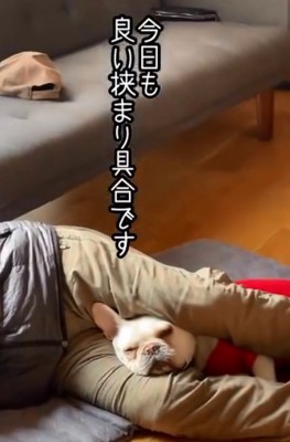 気持ちよさそうなブン太くん