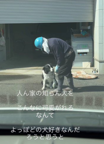 わんこへの愛が伝わる…