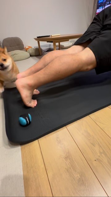 足でブロックされてぎょっとする犬