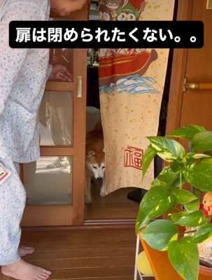 扉を閉めちゃった!!