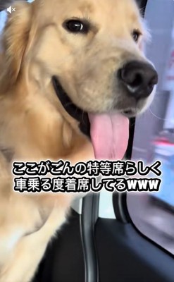 満足そうなごん君