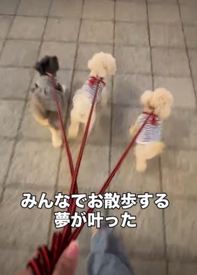 みんなのお気に入りの時間