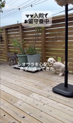 レオくんとサラちゃんの熱烈歓迎