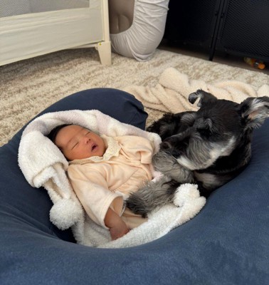 見守ってくれています