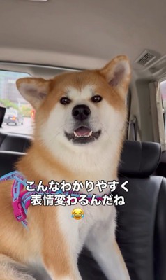 ドライブ中のひなちゃんの変化8