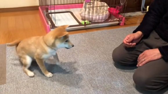動き出すみなみちゃん