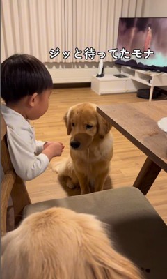 りんごをもらうモナちゃん＆ニコちゃん5