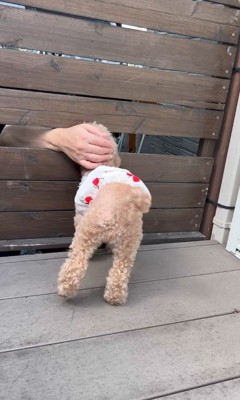 お父さんの帰りを待つティナちゃん7