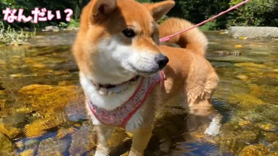 まさかの足湯状態!