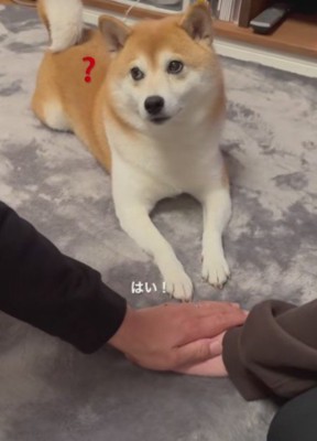 次にパパが当て…