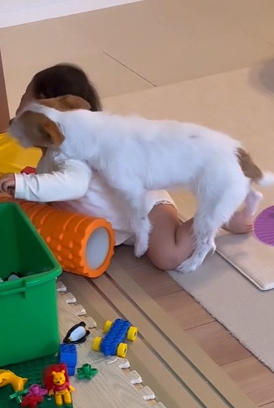 犬から逃げる赤ちゃん